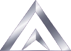 Vertex Building Surveys logo
